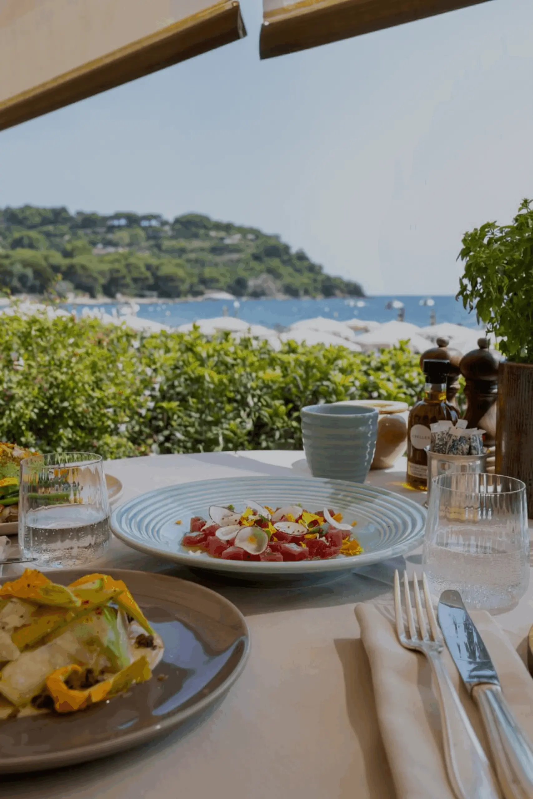 Basic vs Saint-Tropez: Which Kaya Ceramics Collection Fits Your Table?